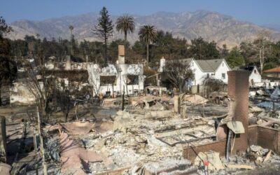 Wildfire Crisis 2025: A New Global Normal?