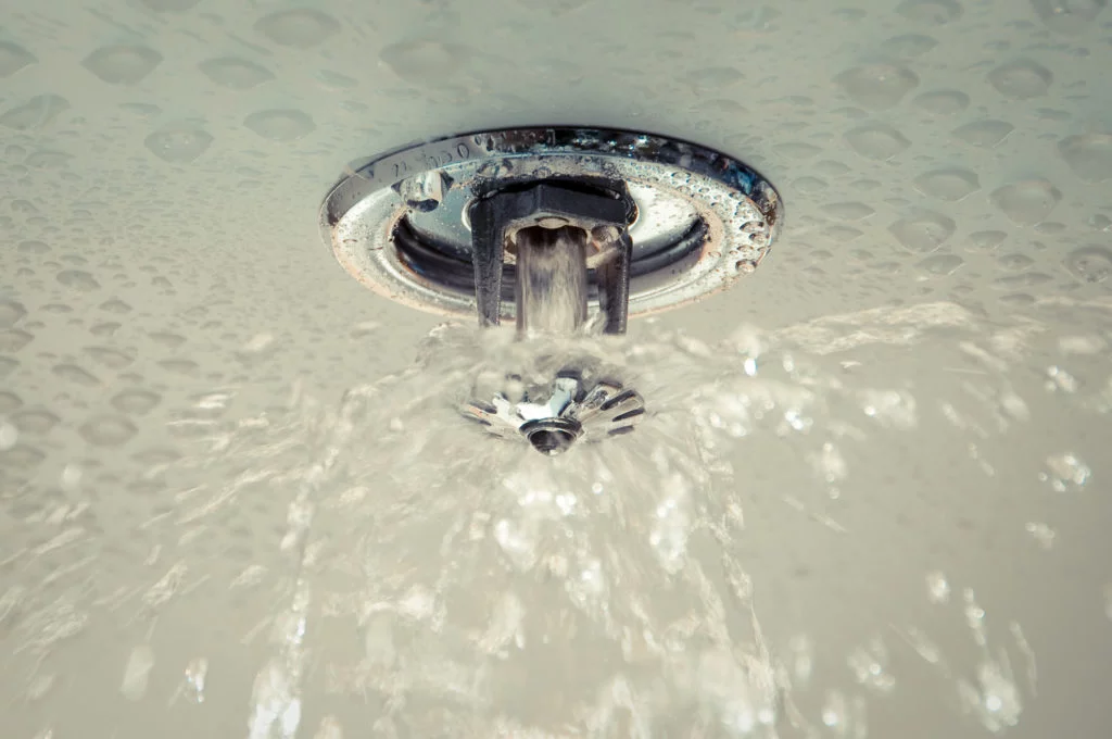 water sprinkle