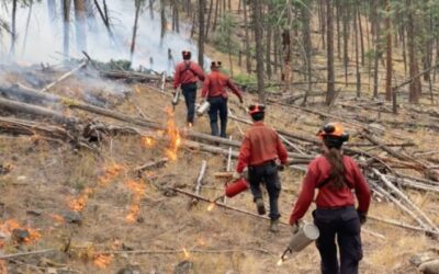 Eaton Wildfire Response: Evacuation and Emergency Lessons