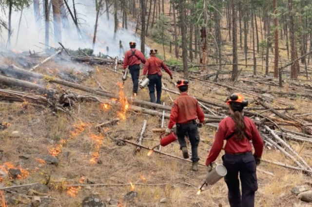 four firefighters run towards the forest fire
