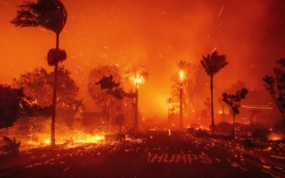 What Caused the Eaton Wildfire? A Closer Look