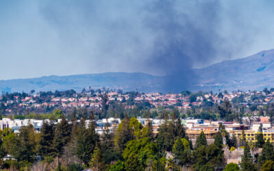 Wildfire Smoke and Your Health: What You Need to Know