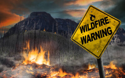 What to Do During a Wildfire: Essential Safety Tips and Actions