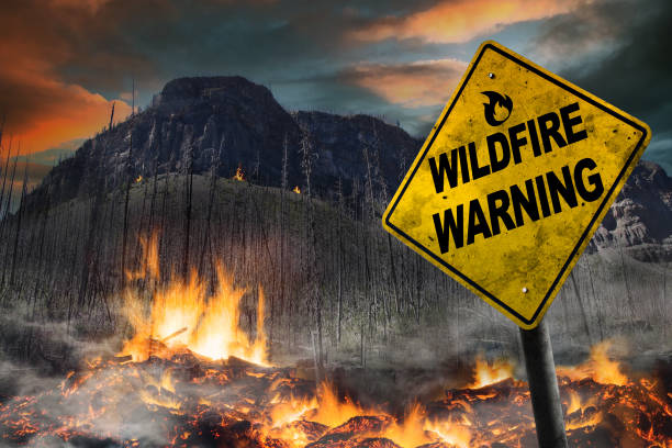What to Do During a Wildfire: Essential Safety Tips and Actions