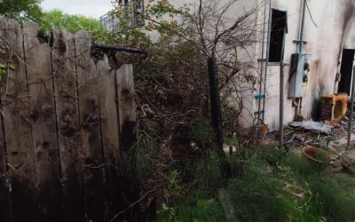 Rebuilding After Wildfire Damage: Tips for a Safe and Strong Recovery