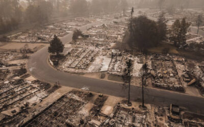 Recuperación Tras un Incendio Forestal: Pasos Esenciales para Reconstruir tus Finanzas Después de los Daños