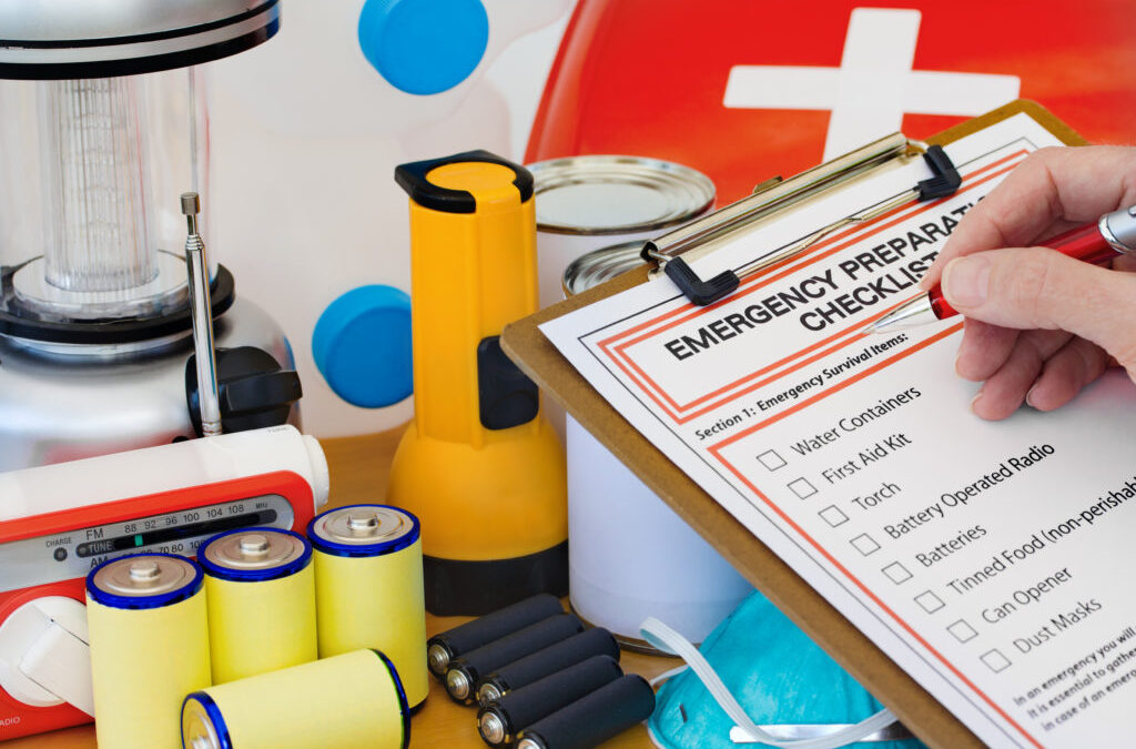 Wildfire Preparedness Guide: Full Evacuation Checklist