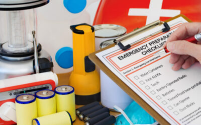 Wildfire Preparedness Guide: Full Evacuation Checklist