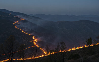 Cómo Empiezan los Incendios Forestales: Causas Naturales y Humanas que Debes Conocer
