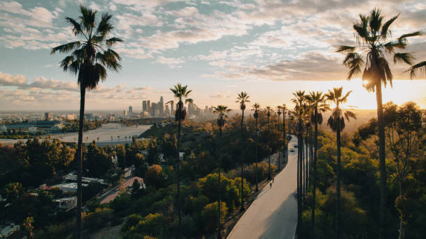 Scenic Los Angeles skyline view with palm tree-lined road at sunset, showcasing urban landscape, California lifestyle, and scenic city atmosphere