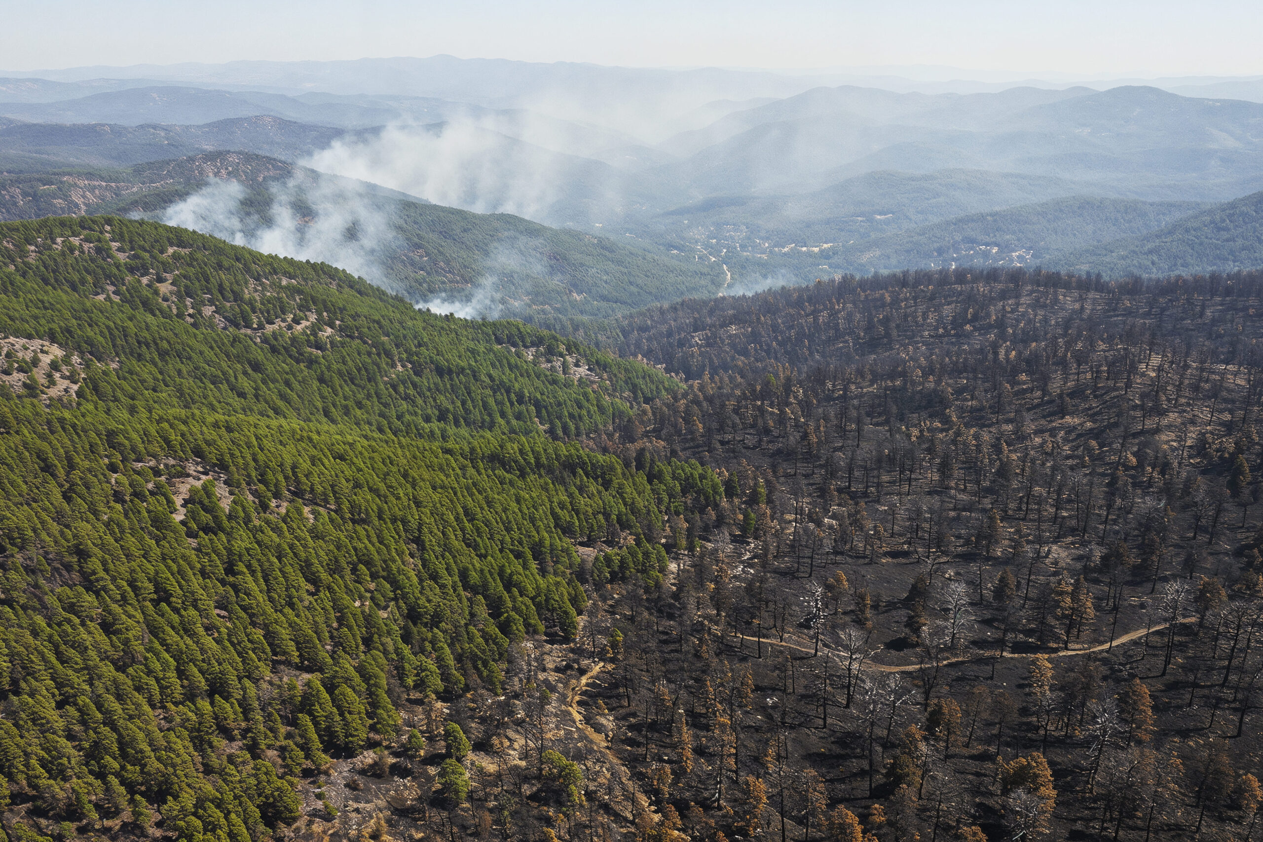 Aerial view of forest after wildfire showing burned trees, smoke, and surviving green landscape, illustrating wildfire damage and environmental impact