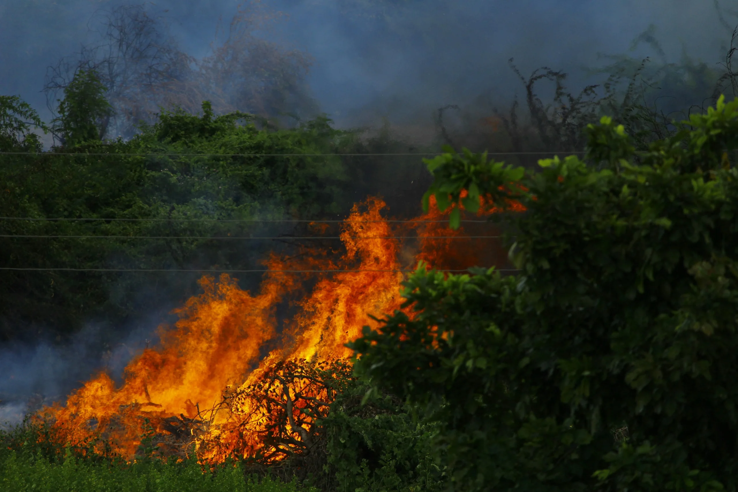 Brush fire burning through dense vegetation with flames and smoke, illustrating wildfire spread, forest fire danger, and environmental hazard